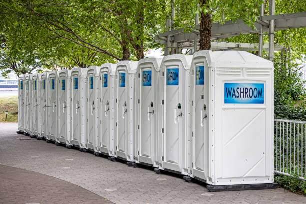 Best Luxury portable toilet rental  in Detroit Beach, MI