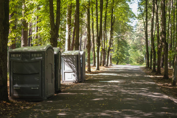 Best Portable toilet rental cost  in Detroit Beach, MI